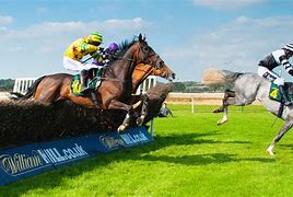 Image result for Race Horse Pictures