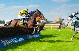 Image result for Thoroughbred Race Horse Racing