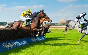 Image result for 2 Horse Race