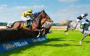 Image result for British Horse Race