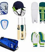 Image result for Youth Cricket Gear