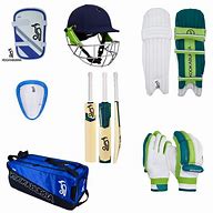 Image result for Cricket Gear