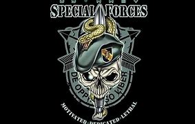 Image result for 10 Special Forces Group Logo