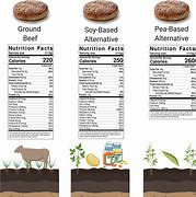 Image result for Meat or Plants