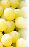 Image result for Surilie Grapes