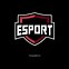 Image result for Premium eSports Text Logo