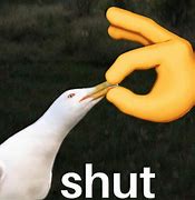 Image result for It's a Bird Meme