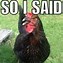 Image result for Chicken with Ponytail Meme