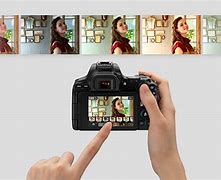 Image result for canon 200 d mk 2 samples photos