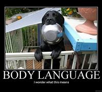 Image result for Memes of Body Language
