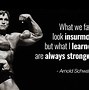 Image result for Arnold Schwarzenegger Bodybuilding Quotes
