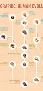 Image result for Early Man Evolution Chart