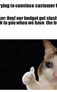 Image result for Sales Cat Meme