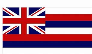 Image result for Hawaii State Flag Facts