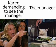Image result for Best Karen Meme 2019