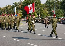 Image result for Canadian Armed Forces Armoured Officer