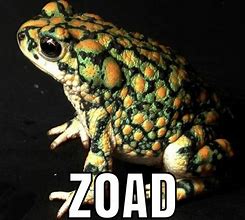 Image result for Toad Animal Meme