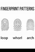 Image result for Three Fingerprint Types