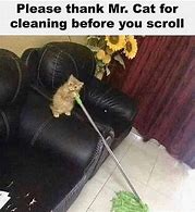 Image result for Silly Clean Memes