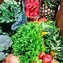 Image result for Local Produce