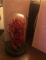 Image result for Galaxu Rose Dome