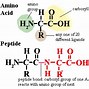 Image result for Recover Energy during Fight