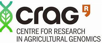 Image result for Crag Logo
