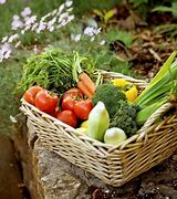 Image result for Sustainable Gardening
