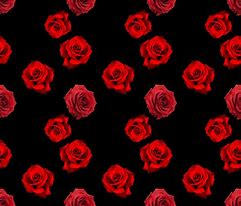 Image result for Red Roses On Black Background Fabric