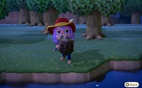 Image result for Animal Crossing New Horizons Snapping Turtle