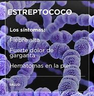 Image result for estreptococis
