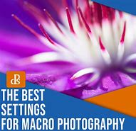 Image result for Wedding Photography Camera Settings