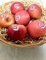 Image result for Small Pink Lady Apple