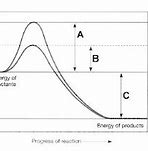 Image result for Activation Energy with and without Enzyme