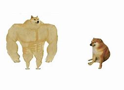 Image result for Doge Comparison Meme
