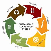 Image result for Women in the Food System