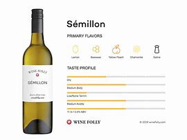 Image result for Semillon Dessert Wine