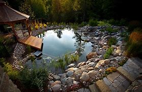 Image result for Natural Pond Swimming Pools Design