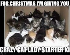 Image result for Cat Lady Starter Kit Meme