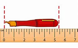 Image result for Things That Are 6 Cm Long