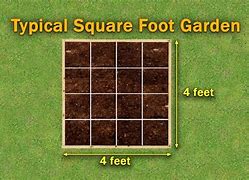 Image result for 1 Square Foot