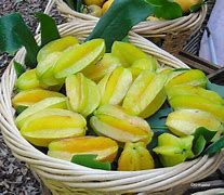 Image result for Star Apple Fruit in a Basket