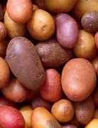 Image result for Potato Varieties List