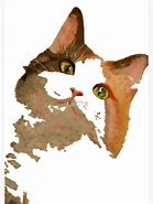 Image result for I'm All Ears Cat