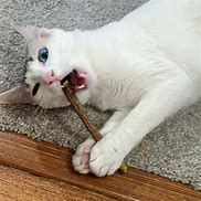 Image result for Cat Toy Red Stick Stuffed
