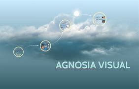 Image result for agnosua
