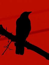 Image result for Red Raven Bird Art