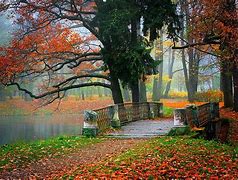 Image result for Awesome Nature Wallpapers