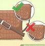 Image result for Difference Between Crocodile and Alligator Leather