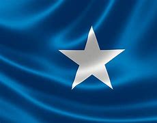 Image result for Somalia Flag